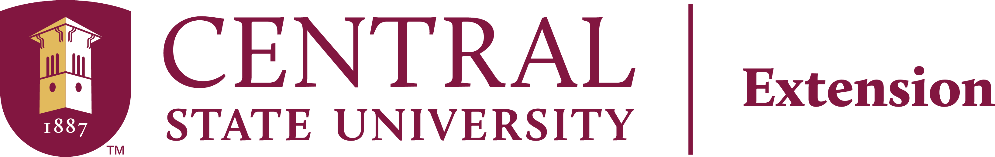 ExtensionLogo